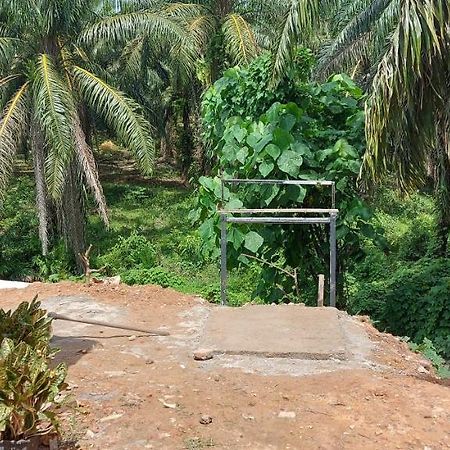 Myrol Homestay Kulim Esterno foto